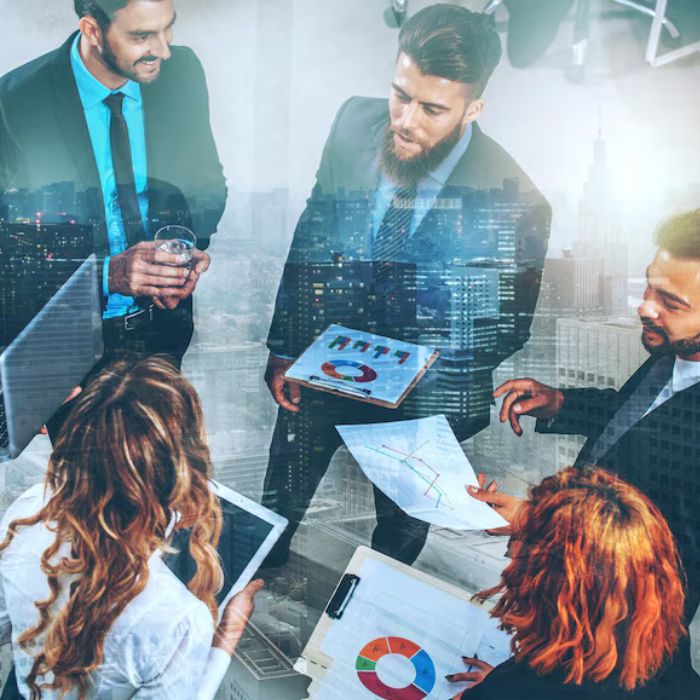 IT Consulting Services